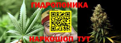 сатива Тула