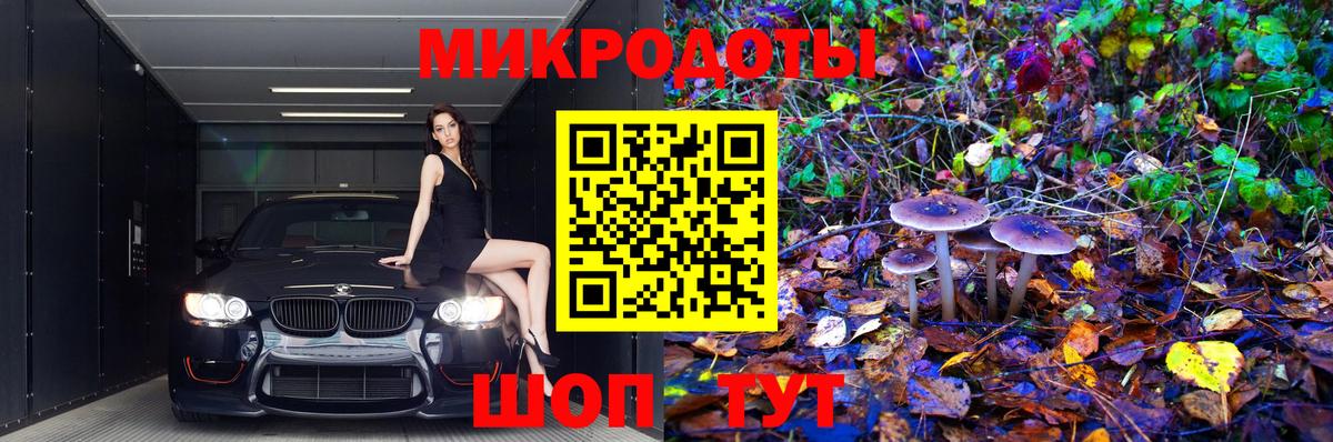 Сибай  Галлюциногенные грибы Psilocybine cubensis  Вход с VPN 